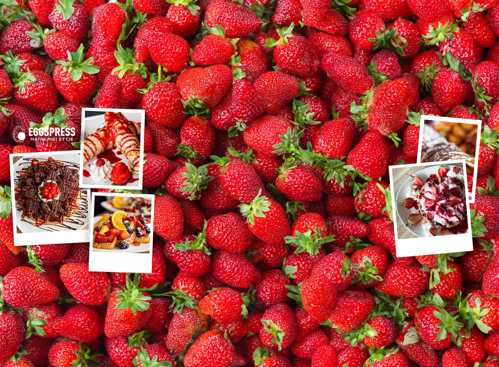banner-1