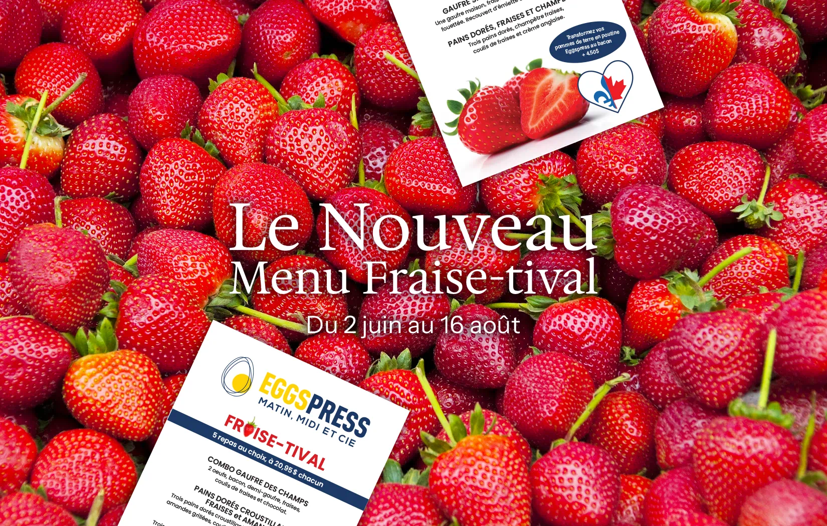 strawberry-banner-1-FR